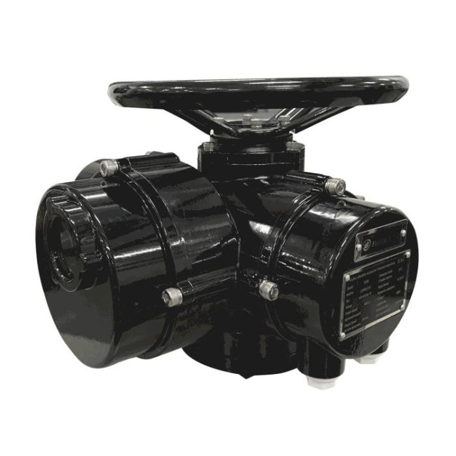 "Электропривод S-2500-24 380В ""Г"" IP67 Benarmo"
