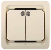 СВЕТОЗАР Гамма, двухклавишный, с подсветкой, цвет бежевый, 10 А/~250 В, электрический выключатель (SV-54135-B)