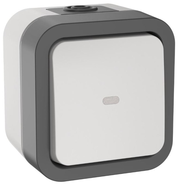TORS Переключатель однокл. с ин. 10А IP55 TS202 белый | TS-V10-1-10-55-K41 | IEK