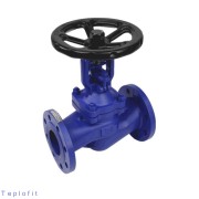 Клапан запорн чуг 3210W Ду40 Ру16 фл сильф Benarmo 1