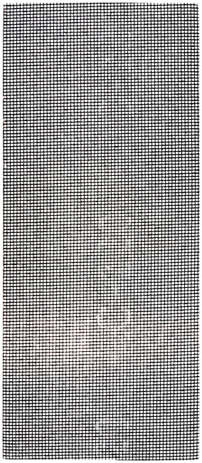 Сетки шлифовальные 120х280 мм, 10 шт. Р 220