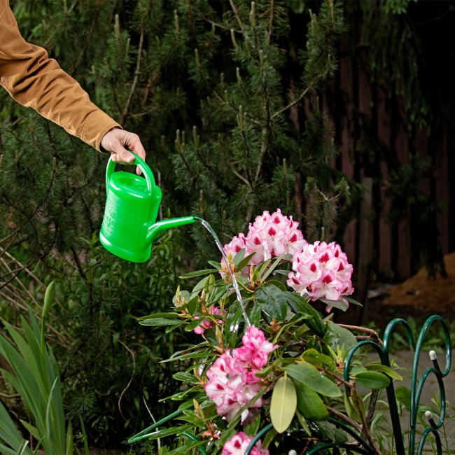 Лейка садовая, 2 л, пластмассовая Россия