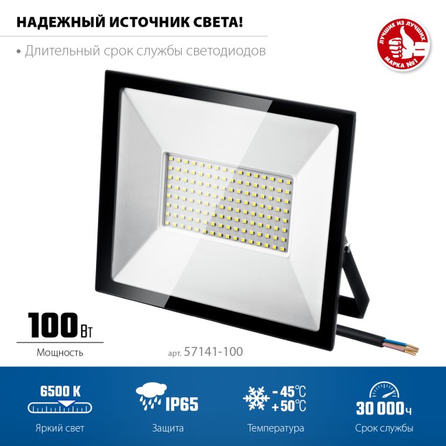 ЗУБР ПСК-100, 100 Вт, 6500 К, IP 65, светодиодный прожектор, Профессионал (57141-100)